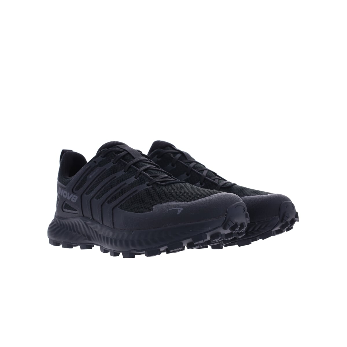 Roclite GTX (M)